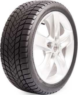 "205/50R17 LANDSAIL WINTER LANDER 93H XL "WINTER TYRE""